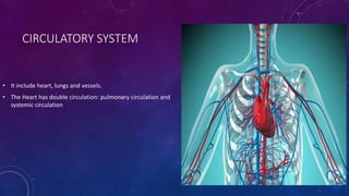 CIRCULATORY SYSTEM
• It include heart, lungs and vessels.
• The Heart has double circulation: pulmonary circulation and
systemic circulation
 