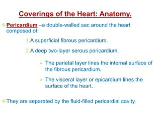 The_Heart__anatomy and physiology AHscience | PDF