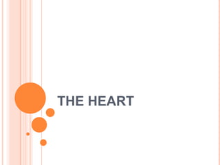 THE HEART 