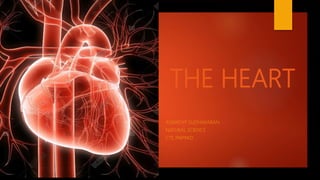 THE HEART
ASWATHY SUDHAKARAN
NATURAL SCIENCE
CTE PAIPPAD
 