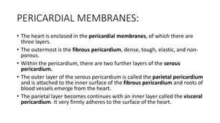 PERICARDIAL MEMBRANES:
• The heart is enclosed in the pericardial membranes, of which there are
three layers.
• The outerm...