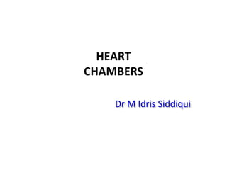 HEART
CHAMBERS
Dr M Idris Siddiqui
 