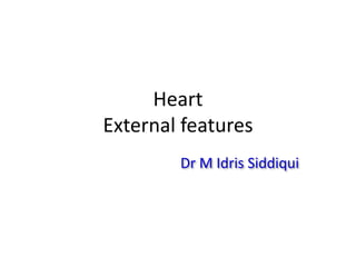 Heart
External features
Dr M Idris Siddiqui
 