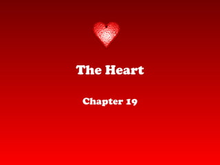The Heart
Chapter 19
 