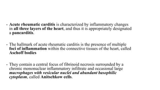 - Acute rheumatic carditis is characterized by inflammatory changes
in all three layers of the heart, and thus it is appropriately designated
a pancarditis.
- The hallmark of acute rheumatic carditis is the presence of multiple
foci of inflammation within the connective tissues of the heart, called
Aschoff bodies
- They contain a central focus of fibrinoid necrosis surrounded by a
chronic mononuclear inflammatory infiltrate and occasional large
macrophages with vesicular nuclei and abundant basophilic
cytoplasm, called Anitschkow cells.
 