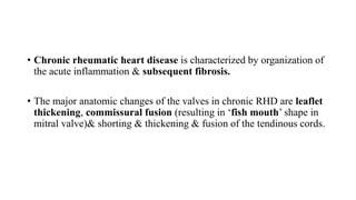 • Chronic rheumatic heart disease is characterized by organization of
the acute inflammation & subsequent fibrosis.
• The major anatomic changes of the valves in chronic RHD are leaflet
thickening, commissural fusion (resulting in ‘fish mouth’ shape in
mitral valve)& shorting & thickening & fusion of the tendinous cords.
 