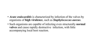• Acute endocarditis is characterized by infection of the valves by
organisms of high virulence, such as Staphylococcus aureus.
• Such organisms are capable of infecting even structurally normal
valves and cause rapidly destructive infection, with little
accompanying local host reaction.
 