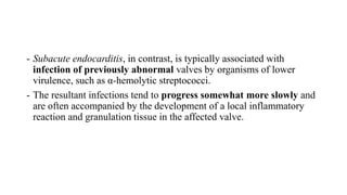 - Subacute endocarditis, in contrast, is typically associated with
infection of previously abnormal valves by organisms of lower
virulence, such as α-hemolytic streptococci.
- The resultant infections tend to progress somewhat more slowly and
are often accompanied by the development of a local inflammatory
reaction and granulation tissue in the affected valve.
 