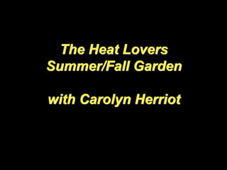 The Heat Lovers
Summer/Fall Garden
with Carolyn Herriot
 