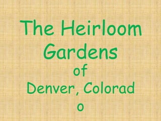 The Heirloom Gardens of Denver, Colorado 