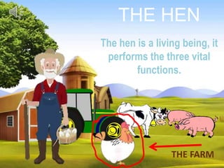 THE HEN
The hen is a living being, it
performs the three vital
functions.
THE FARM
 