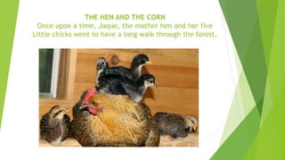 THE HEN AND THE CORN
Once upon a time, Jaque, the mother hen and her five
Little chicks went to have a long walk through the forest,
 