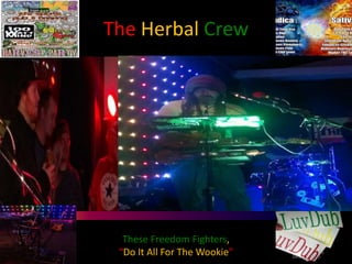 The Herbal Crew

These Freedom Fighters,
“Do It All For The Wookie”

 