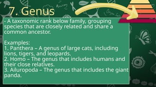 The Hierarchical Taxonomic System (A Ranking System for Biodiversity ...