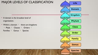 Comprehensive Guide to Classifying Life: Taxonomy and Kingdoms ...