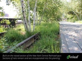 Built on the raised section of the New York Central Railroad spur.
Sections of rails remain and are incorporated into the planting.
 