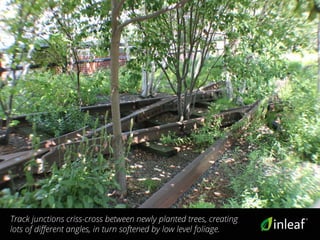 Track junctions criss-cross between newly planted trees, creating
lots of different angles, in turn softened by low level foliage.
 