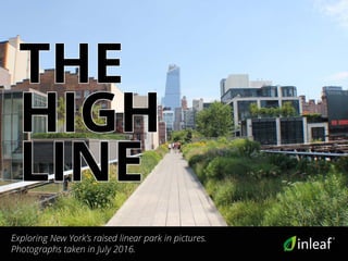 Exploring New York’s raised linear park in pictures.
Photographs taken in July 2016.
THE
HIGH
LINE
 
