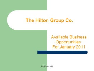 The Hilton Group Co. Available Business Opportunities  For January 2011 