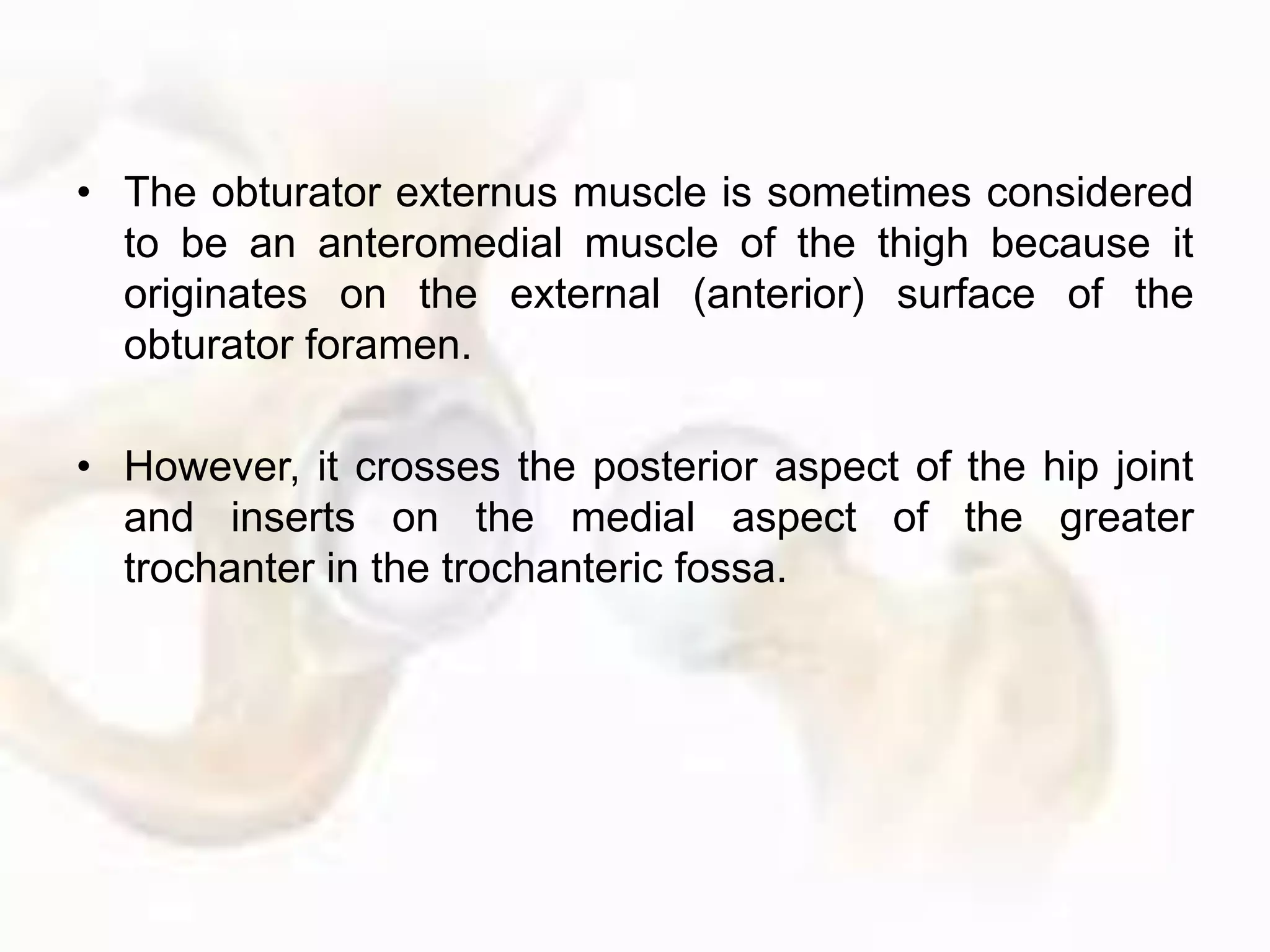 • The obturator externus muscle is sometimes considered
to be an anteromedial muscle of the thigh because it
originates on the external (anterior) surface of the
obturator foramen.
• However, it crosses the posterior aspect of the hip joint
and inserts on the medial aspect of the greater
trochanter in the trochanteric fossa.
 