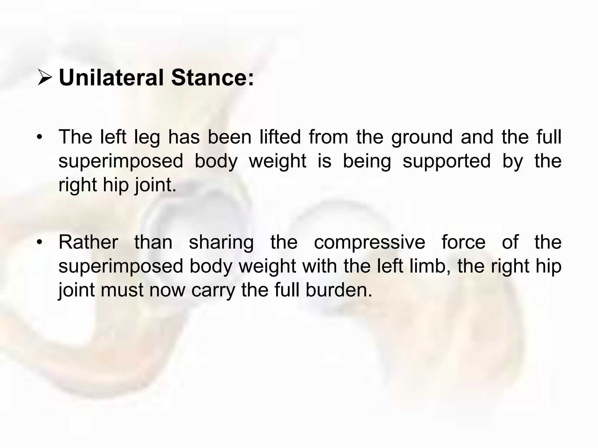  Unilateral Stance:
• The left leg has been lifted from the ground and the full
superimposed body weight is being supported by the
right hip joint.
• Rather than sharing the compressive force of the
superimposed body weight with the left limb, the right hip
joint must now carry the full burden.
 