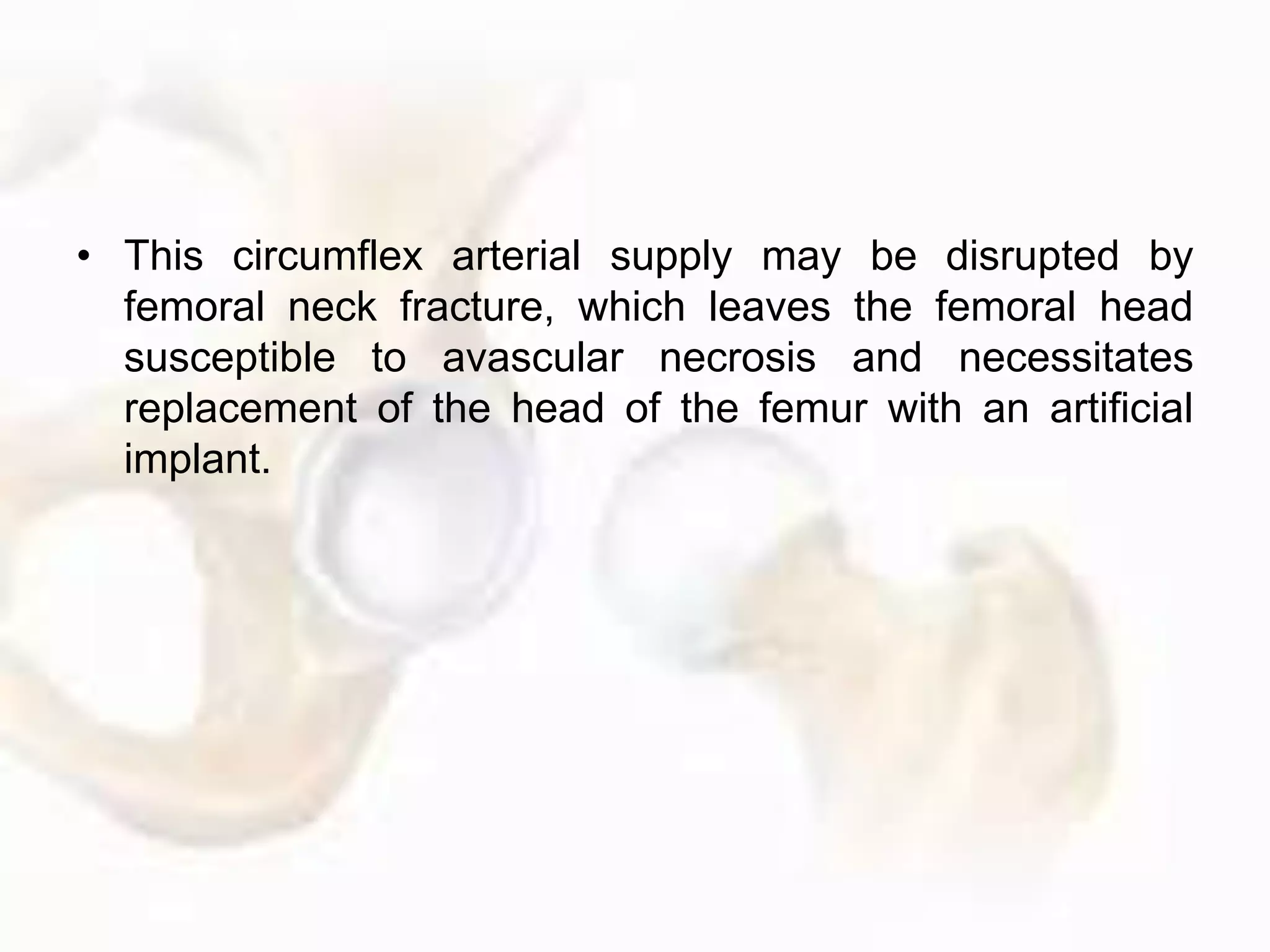 • This circumflex arterial supply may be disrupted by
femoral neck fracture, which leaves the femoral head
susceptible to avascular necrosis and necessitates
replacement of the head of the femur with an artificial
implant.
 
