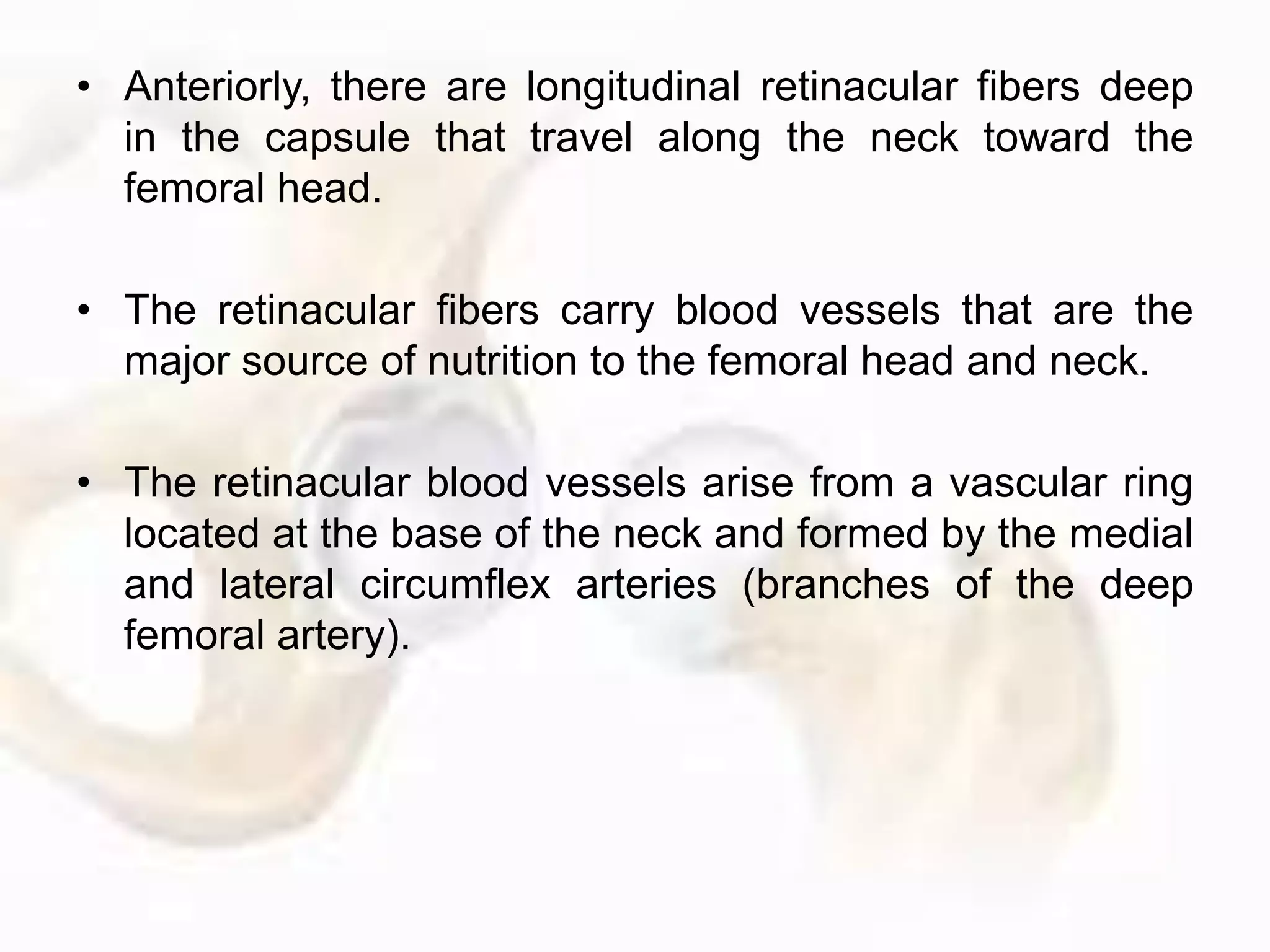 • Anteriorly, there are longitudinal retinacular fibers deep
in the capsule that travel along the neck toward the
femoral head.
• The retinacular fibers carry blood vessels that are the
major source of nutrition to the femoral head and neck.
• The retinacular blood vessels arise from a vascular ring
located at the base of the neck and formed by the medial
and lateral circumflex arteries (branches of the deep
femoral artery).
 