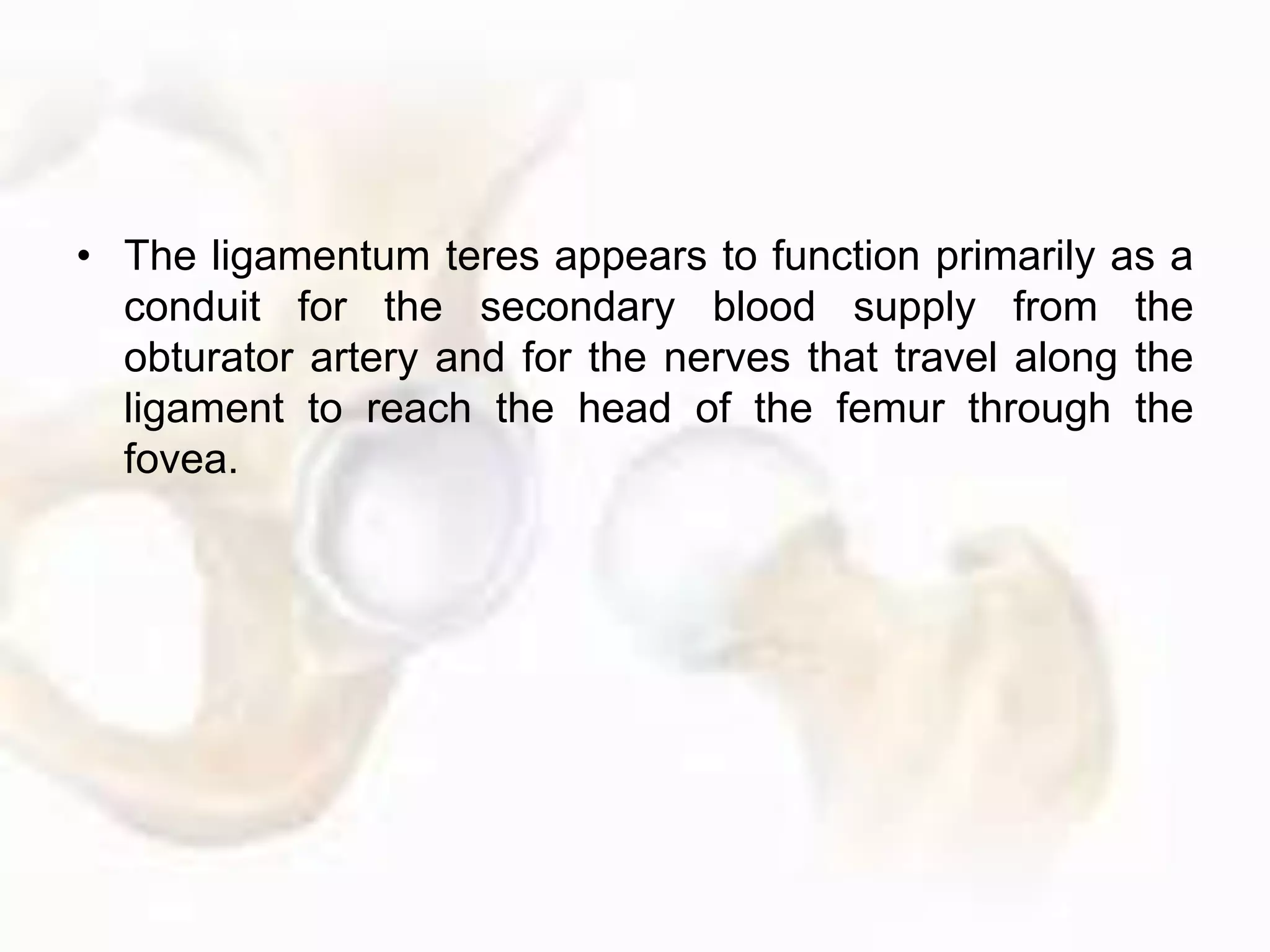 • The ligamentum teres appears to function primarily as a
conduit for the secondary blood supply from the
obturator artery and for the nerves that travel along the
ligament to reach the head of the femur through the
fovea.
 