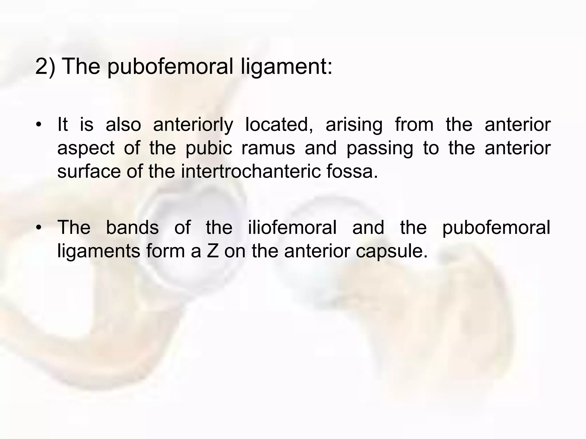 2) The pubofemoral ligament:
• It is also anteriorly located, arising from the anterior
aspect of the pubic ramus and passing to the anterior
surface of the intertrochanteric fossa.
• The bands of the iliofemoral and the pubofemoral
ligaments form a Z on the anterior capsule.
 