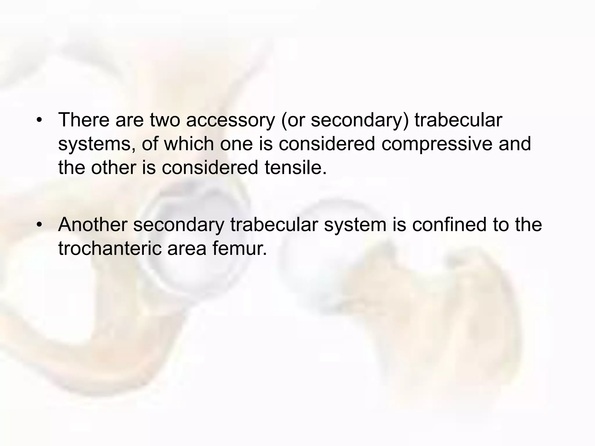 • There are two accessory (or secondary) trabecular
systems, of which one is considered compressive and
the other is considered tensile.
• Another secondary trabecular system is confined to the
trochanteric area femur.
 
