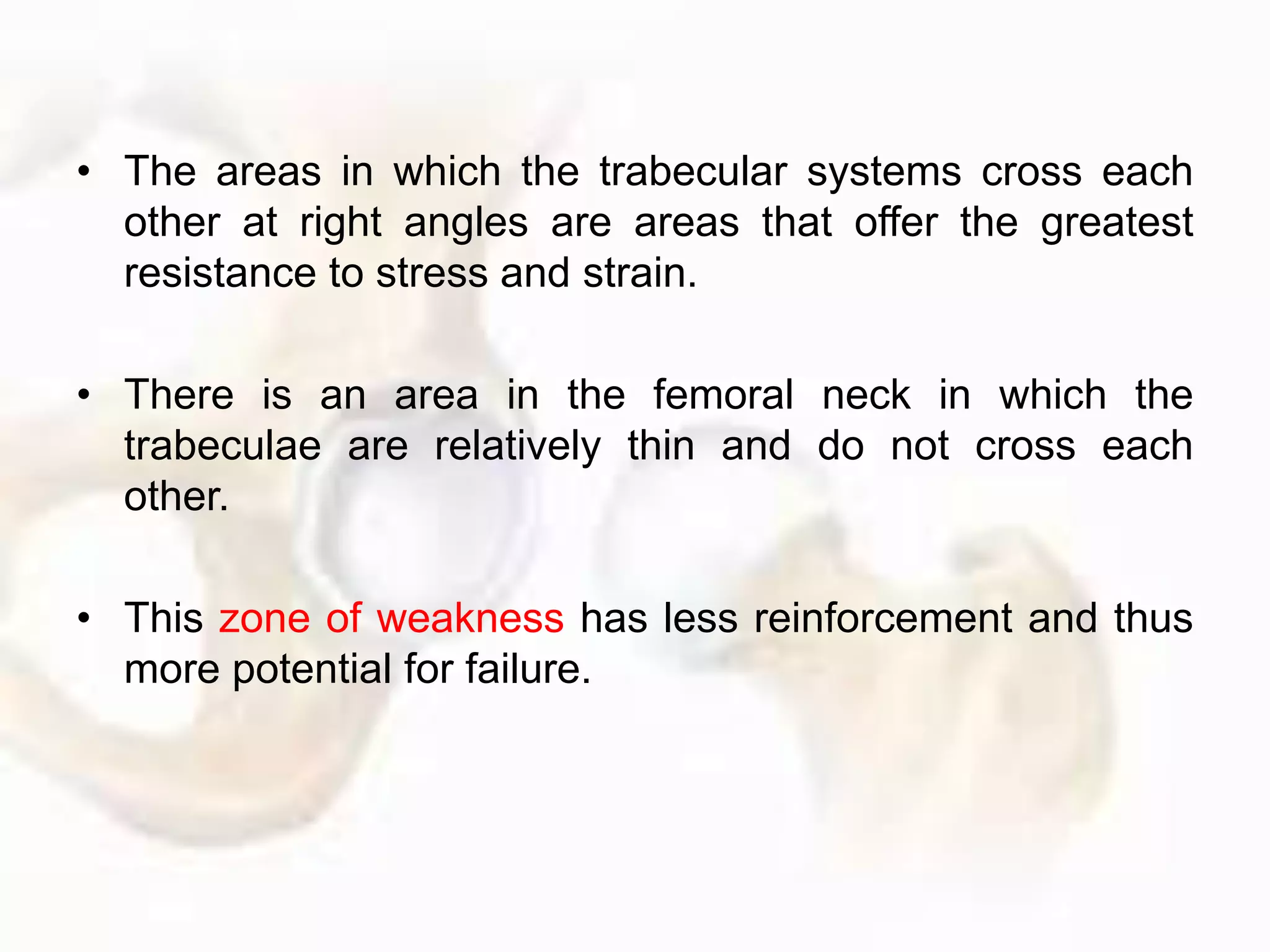 • The areas in which the trabecular systems cross each
other at right angles are areas that offer the greatest
resistance to stress and strain.
• There is an area in the femoral neck in which the
trabeculae are relatively thin and do not cross each
other.
• This zone of weakness has less reinforcement and thus
more potential for failure.
 