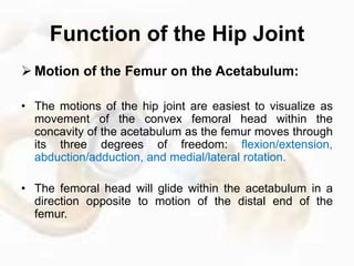 Hip Complex The hip complex | PPTX