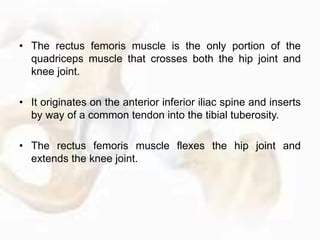 • In addition, the weight of the non–weight bearing left limb
that is hanging on the left side of the pelvis must be
suppo...