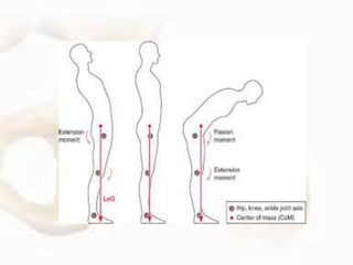 • The femur can be abducted 45 to 50 degrees and
adducted 20 to 30 degrees.
• Abduction can be limited by the two-joint gr...