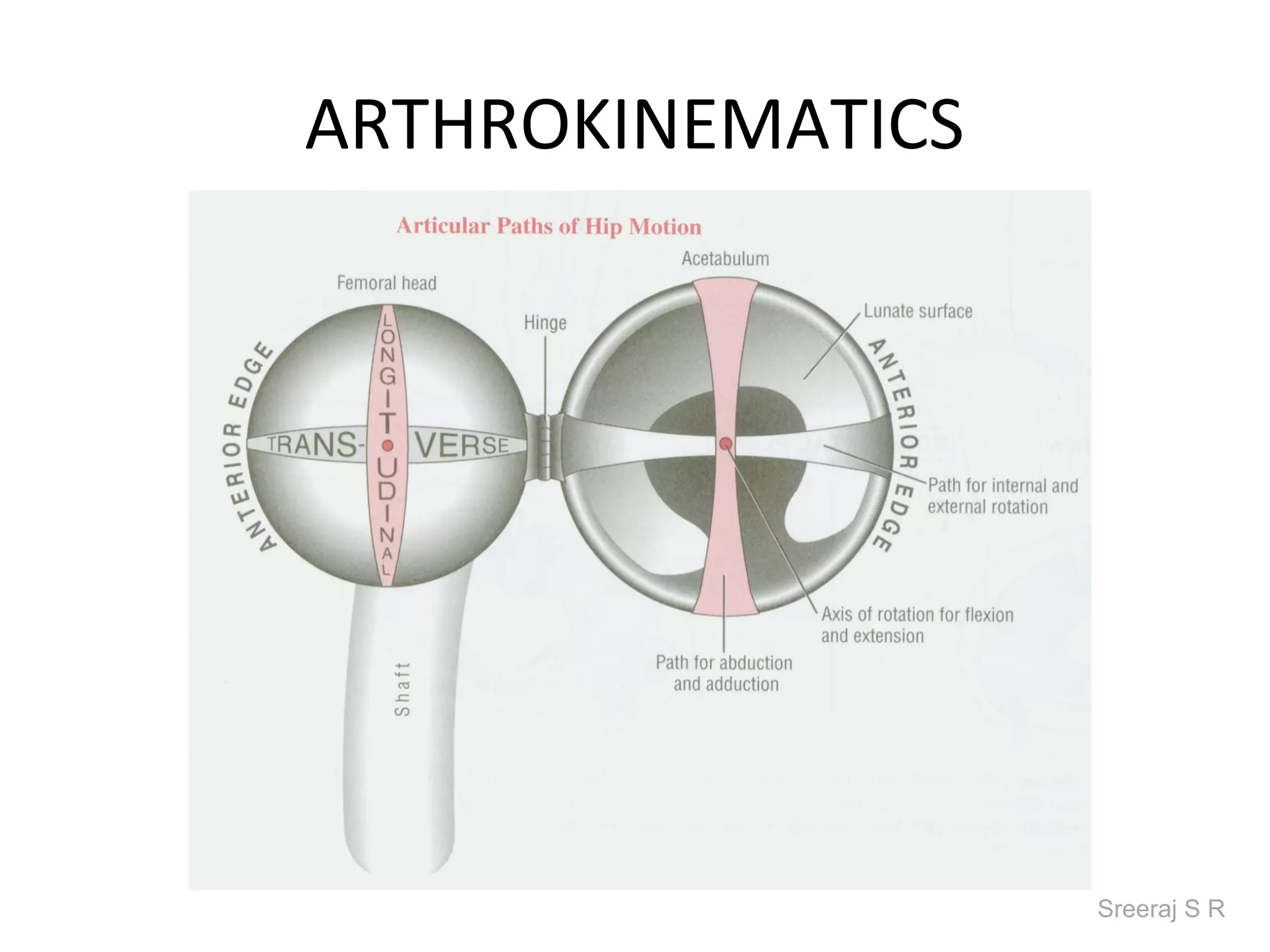 ARTHROKINEMATICS




                   Sreeraj S R
 