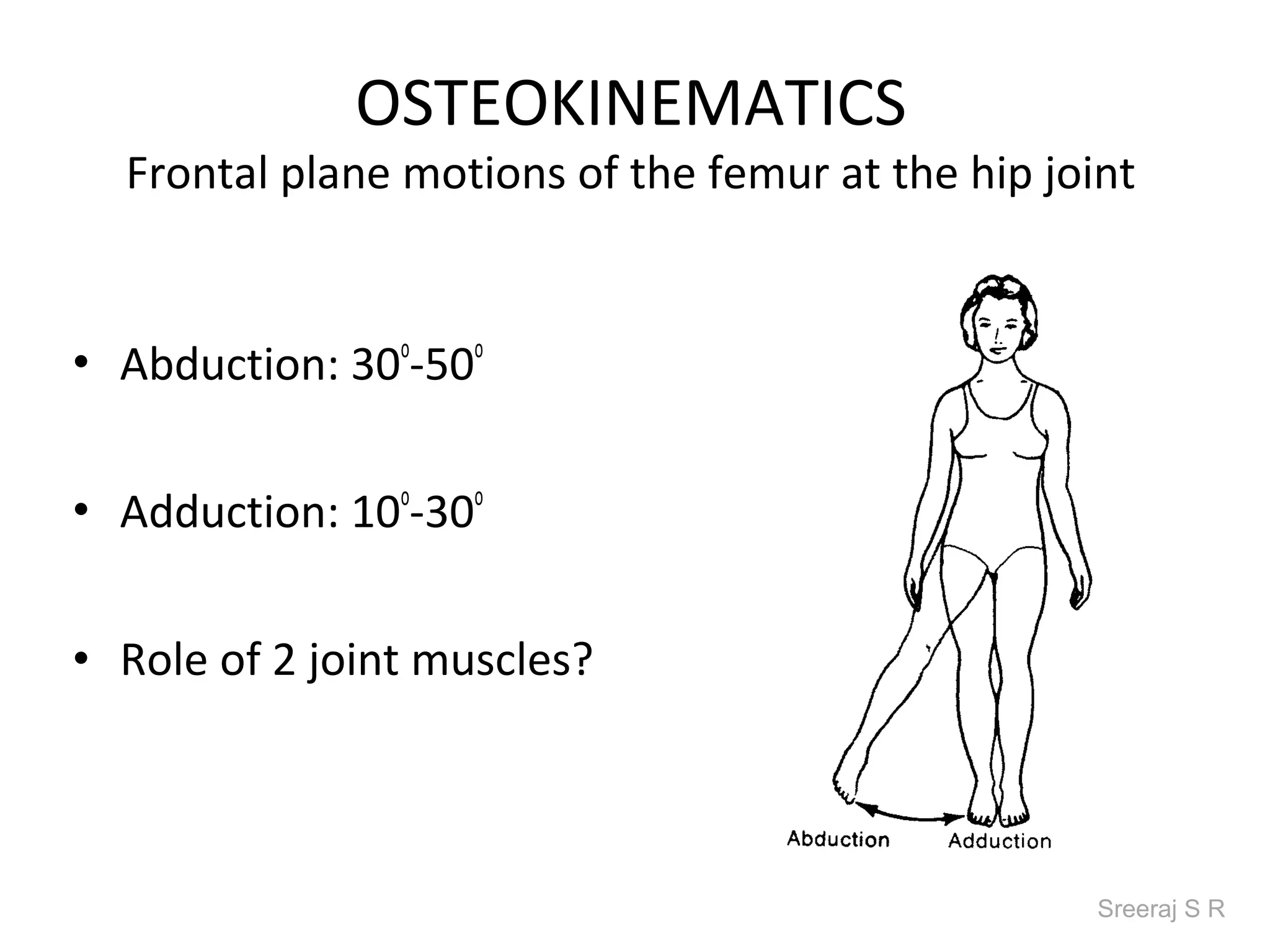 OSTEOKINEMATICS
  Frontal plane motions of the femur at the hip joint


• Abduction: 30o-50o

• Adduction: 10o-30o


• Role of 2 joint muscles?



                                                   Sreeraj S R
 