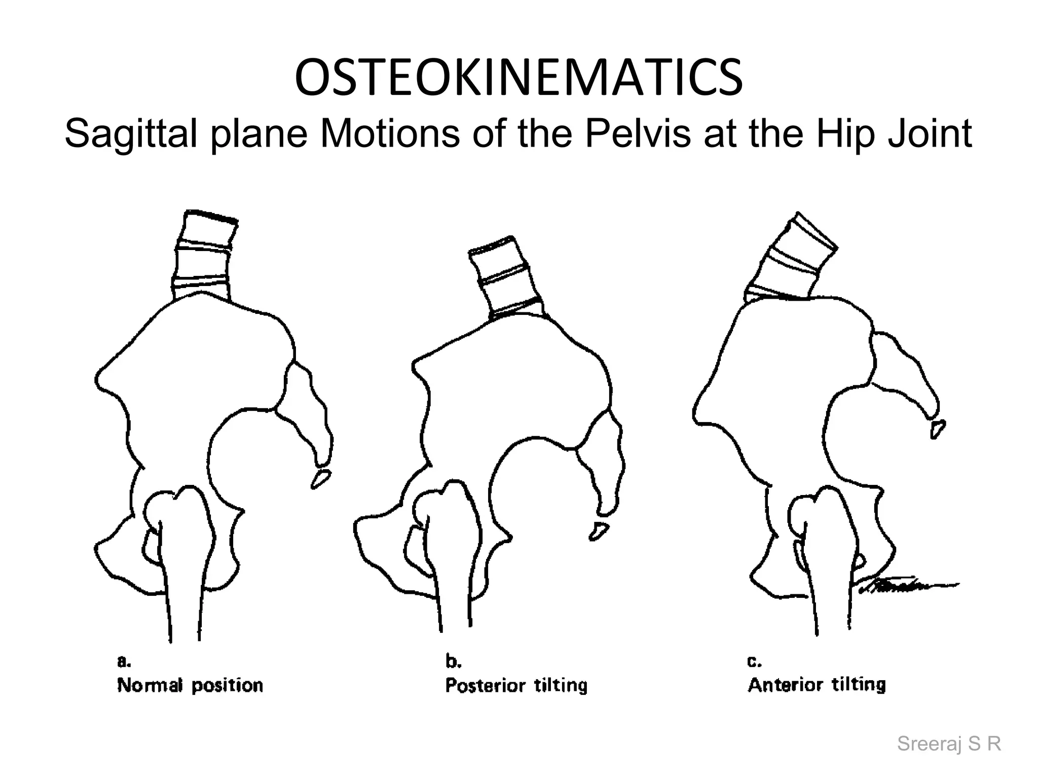 OSTEOKINEMATICS
Sagittal plane Motions of the Pelvis at the Hip Joint




                                                Sreeraj S R
 