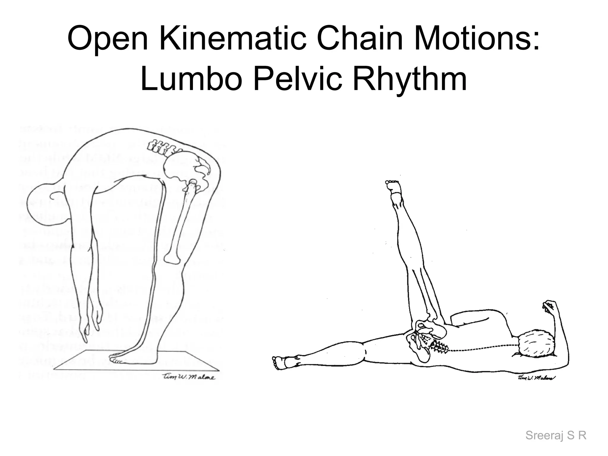 Open Kinematic Chain Motions:
    Lumbo Pelvic Rhythm




                            Sreeraj S R
 