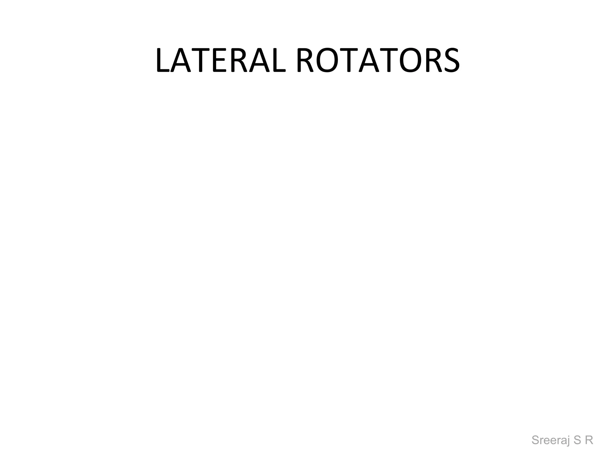 LATERAL ROTATORS




                   Sreeraj S R
 