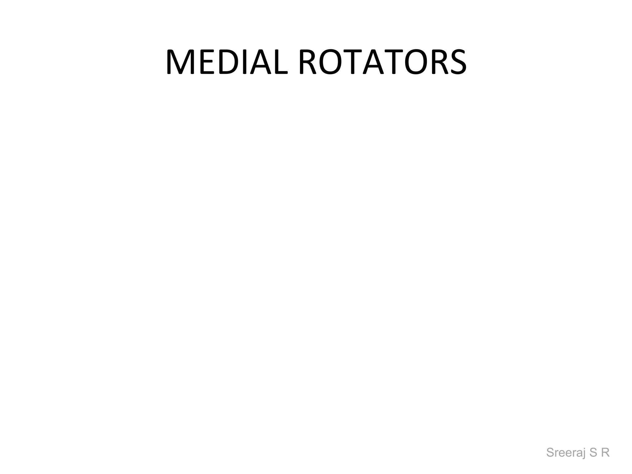 MEDIAL ROTATORS




                  Sreeraj S R
 