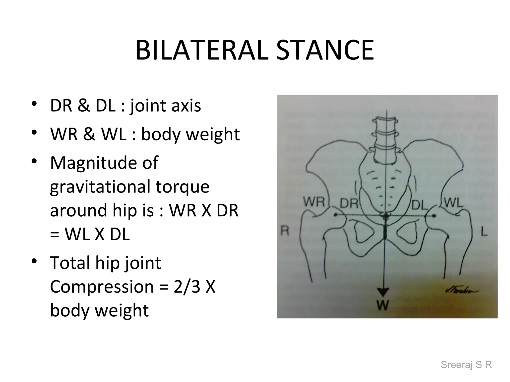 BILATERAL STANCE
• DR & DL : joint axis
• WR & WL : body weight
• Magnitude of
  gravitational torque
  around hip is : WR X DR
  = WL X DL
• Total hip joint
  Compression = 2/3 X
  body weight

                               Sreeraj S R
 