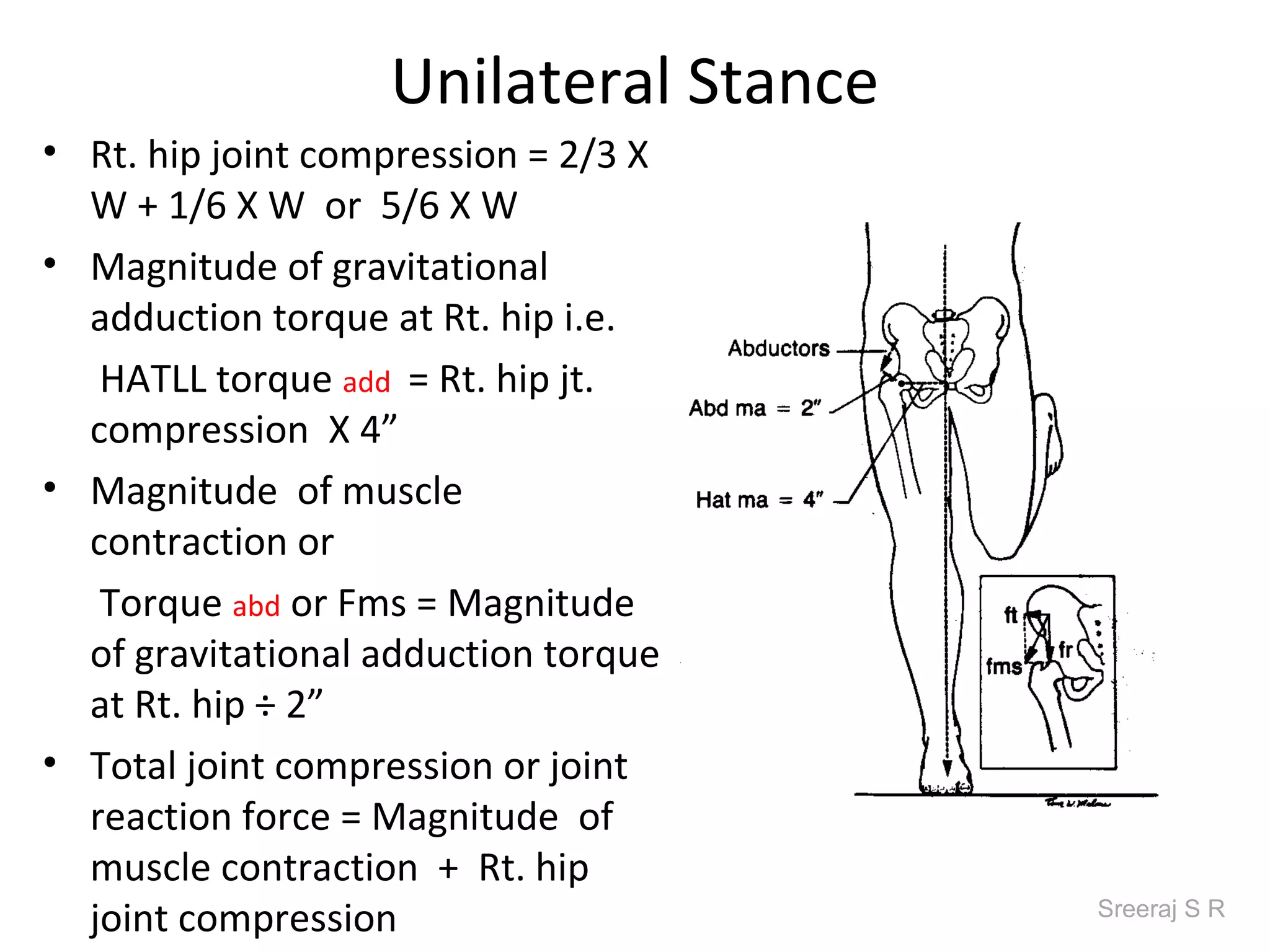 Unilateral Stance
• Rt. hip joint compression = 2/3 X
  W + 1/6 X W or 5/6 X W
• Magnitude of gravitational
  adduction torque at Rt. hip i.e.
   HATLL torque add = Rt. hip jt.
  compression X 4”
• Magnitude of muscle
  contraction or
   Torque abd or Fms = Magnitude
  of gravitational adduction torque
  at Rt. hip ÷ 2”
• Total joint compression or joint
  reaction force = Magnitude of
  muscle contraction + Rt. hip
  joint compression                    Sreeraj S R
 