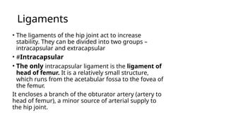 Ligaments
• The ligaments of the hip joint act to increase
stability. They can be divided into two groups –
intracapsular and extracapsular
• #Intracapsular
• The only intracapsular ligament is the ligament of
head of femur. It is a relatively small structure,
which runs from the acetabular fossa to the fovea of
the femur.
It encloses a branch of the obturator artery (artery to
head of femur), a minor source of arterial supply to
the hip joint.
 