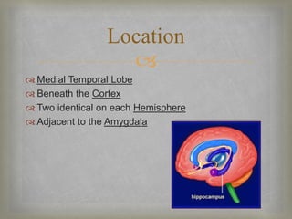 Location 
 
 Medial Temporal Lobe 
 Beneath the Cortex 
 Two identical on each Hemisphere 
 Adjacent to the Amygdala 
 