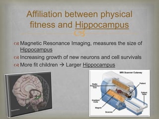Affiliation between physical 
fitness and Hippocampus 
 
 Magnetic Resonance Imaging, measures the size of 
Hippocampus 
 Increasing growth of new neurons and cell survivals 
 More fit children  Larger Hippocampus 
 