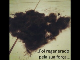 ...Foi regenerado
   pela sua força...
 