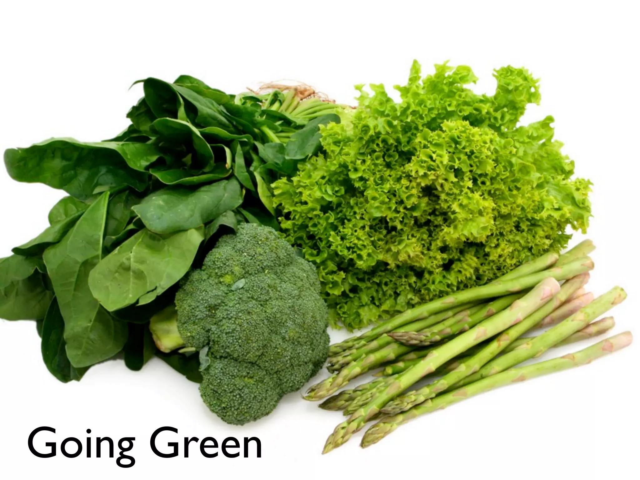 Going Green

EffectiveMySQL.com - Performance, Scalability & Business Continuity

 