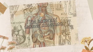 The History and Evolution of Cadaver Dissection in Medical Science | PPTX