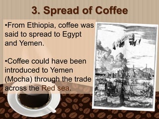 The History of Coffee | PPTX