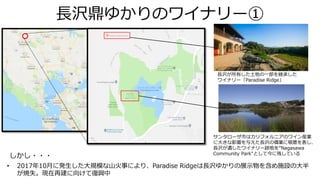 長沢鼎ゆかりのワイナリー①
• 2017年10月に発生した大規模な山火事により、Paradise Ridgeは長沢ゆかりの展示物を含め施設の大半
が焼失。現在再建に向けて復興中
しかし・・・
サンタローザ市はカリフォルニアのワイン産業
に大きな影響を与えた長沢の偉業に敬意を表し、
長沢が遺したワイナリー跡地を”Nagasawa
Community Park"として今に残している
長沢が所有した土地の一部を継承した
ワイナリー「Paradise Ridge」
 